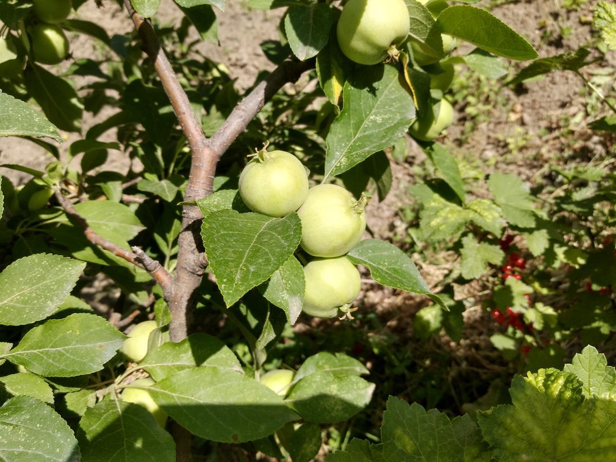 Chʼiva Gayane & Khikar B&B מראה חיצוני תמונה